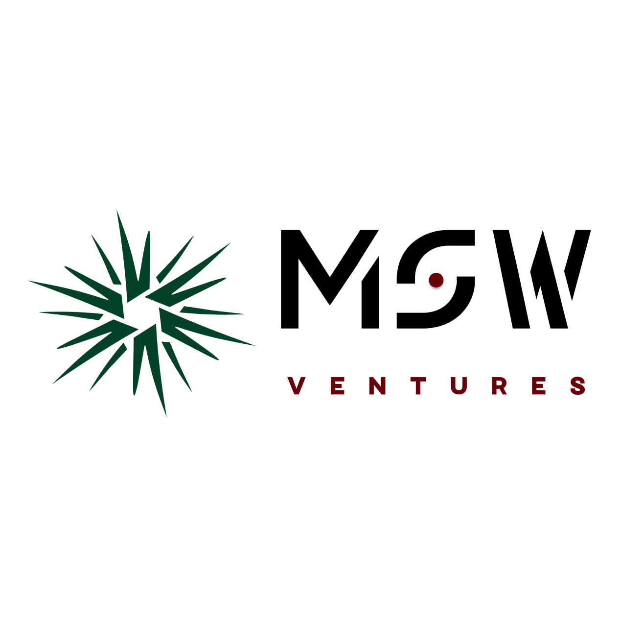 Kevin Tanaさん専用 Kevin Tan - Venture Partner — MSW Ventures